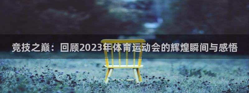 J9官方正版app娱乐是那个系列的台子:竞技之巅:回顾202