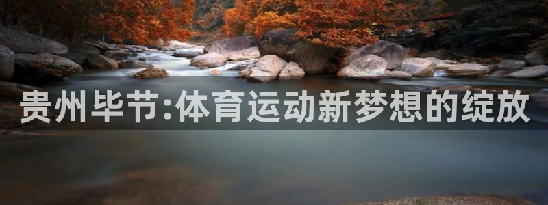 J9官方正版app集团E.ON:贵州毕节:体育运动新梦想的绽